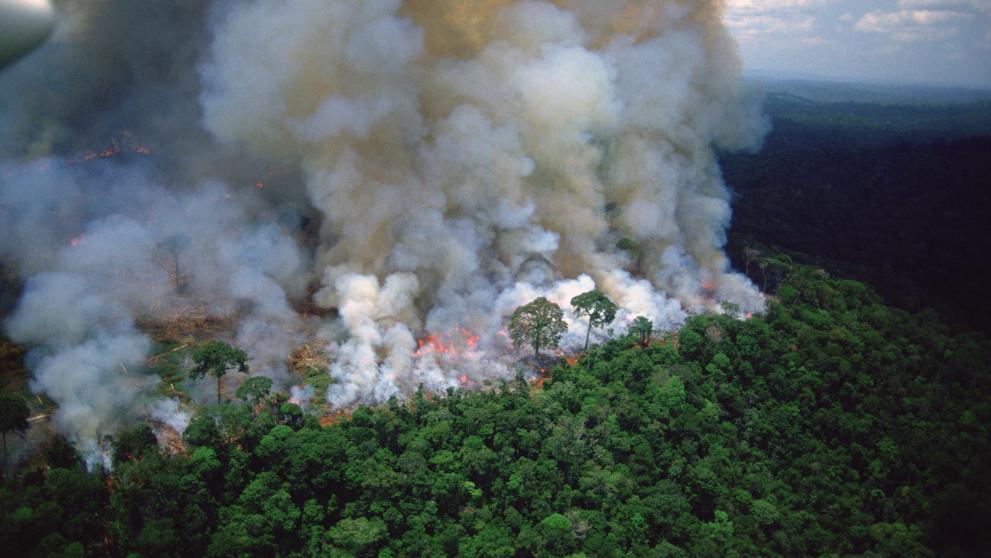 El G7 ayudará a los países afectados por el incendio en el Amazonas