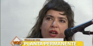 Planta Permanente