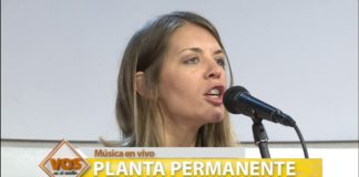 Planta permanente