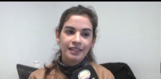 Denuncias por estafas con licencias de conducir