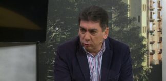 Preocupa la cantidad de accidentes por animales sueltos