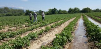 AICAT profundiza su trabajo en beneficio de los pequeños productores