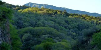Grave accidente en El Totoral