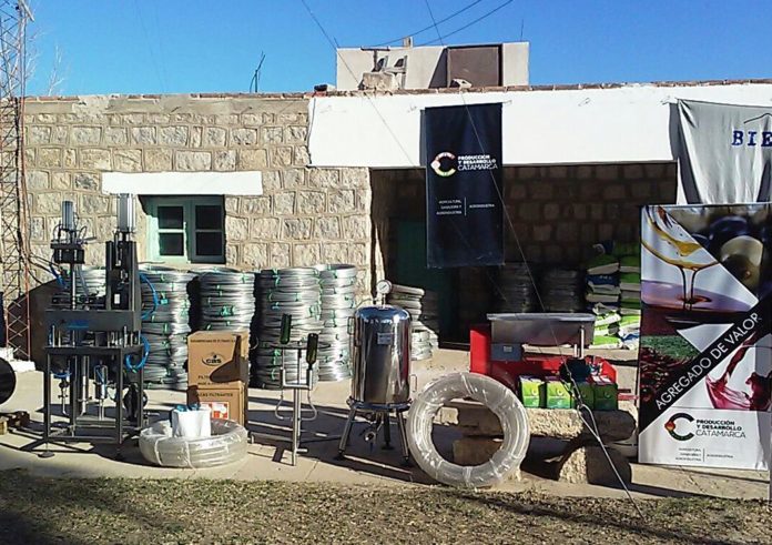 bodega sijan