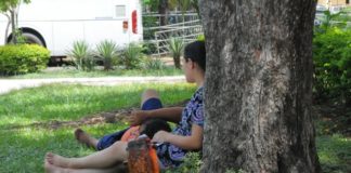 El tiempo: jornada cálida en la ciudad