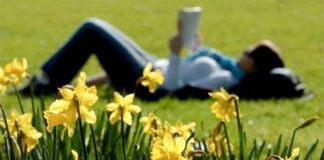 Cómo estará el tiempo en el inicio de la semana