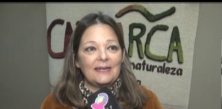 Dos firmas aéreas proponen rutas para Catamarca