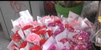 Comenzó la venta de flores para la primavera