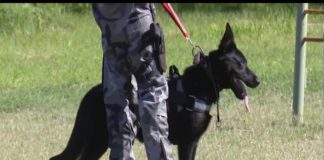 Destacaron la calidad de los canes de la policía