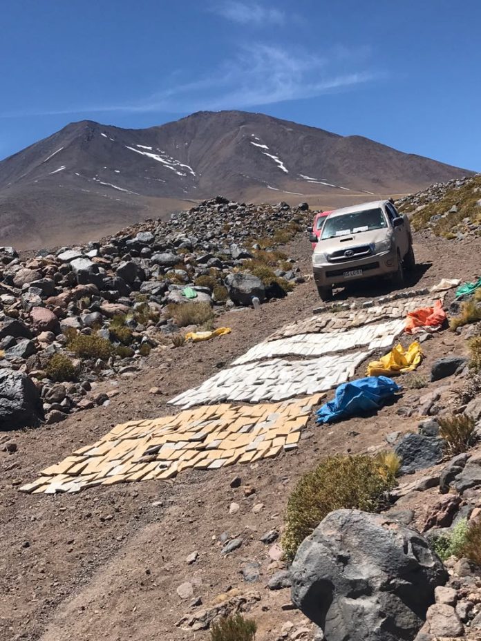 514 KILOS DE MARIHUANA06