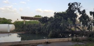 La caída de árboles dejó sin agua por unas horas a Andalgalá