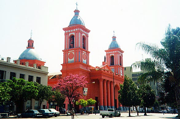 catedral2