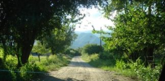 Hombre aprehendido tras amenazar a su propia familia en Capayán