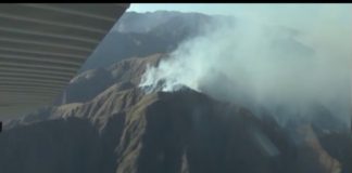 El drama de los incendios forestales