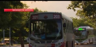 Proponen que haya mujeres choferes de colectivos