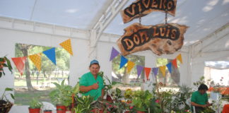 Primera Feria Verde en Catamarca