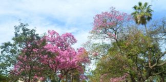 El tiempo hoy: ¿llegará la anunciada lluvia?