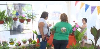 Pusieron en marcha la 1° Feria Verde en Valle Viejo