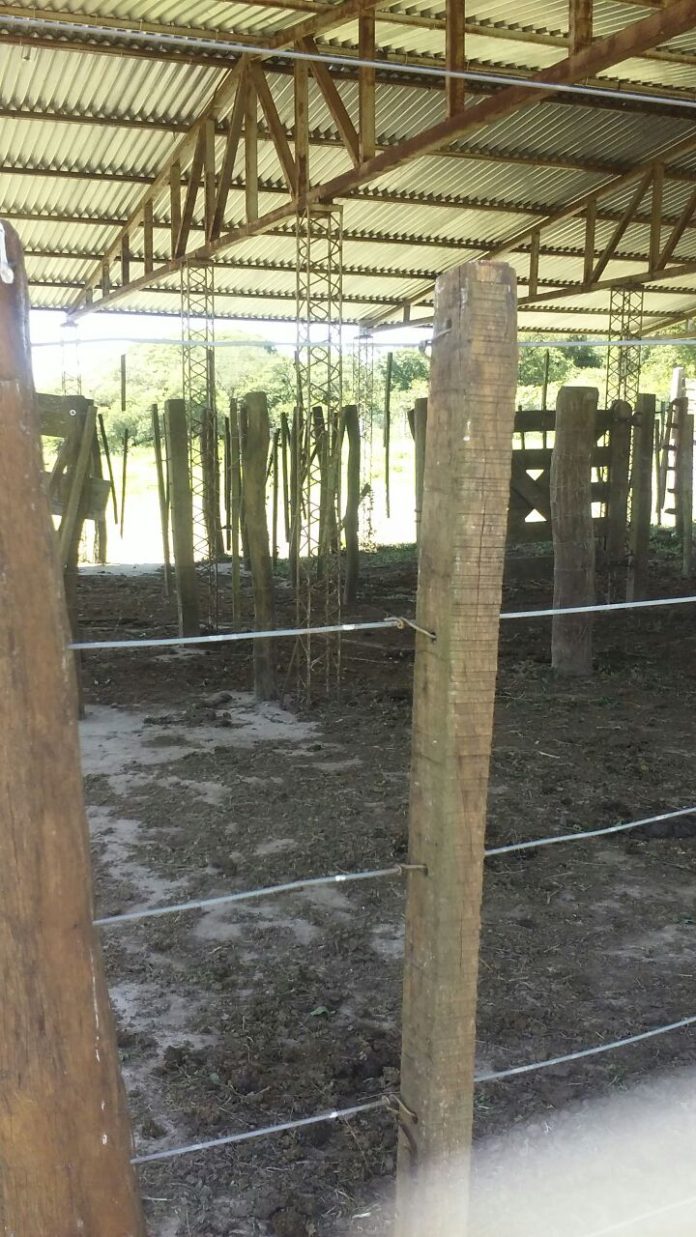 Matadero_Guayamba4