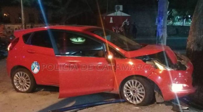 accidente Cria. Quinta 1