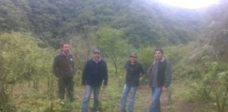Control a proyectos de conservación de bosques
