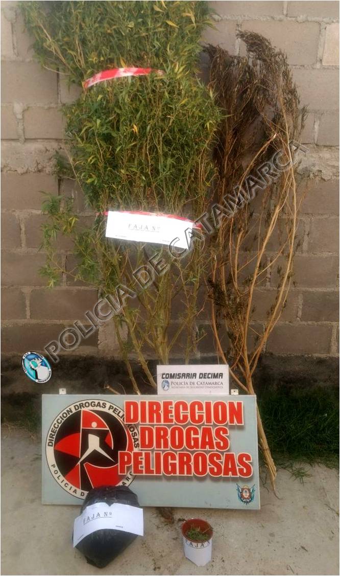 Comisaria Decima