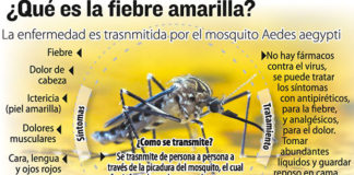 La vacuna contra la Fiebre Amarilla es perjudicial a personas mayores de 60 años