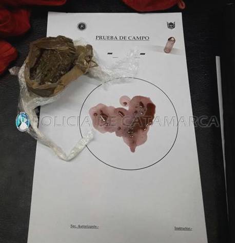 Drogas y Seguridad Vial 1