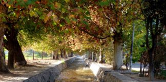 Viento y ascenso de temperatura en el comienzo del otoño