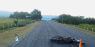 Un efectivo de la policía en grave estado tras chocar con un animal