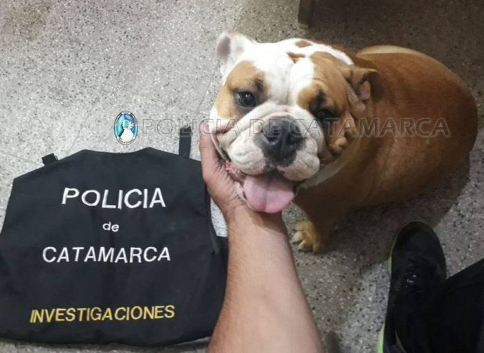 Secuestro Investigaciones Judicciales