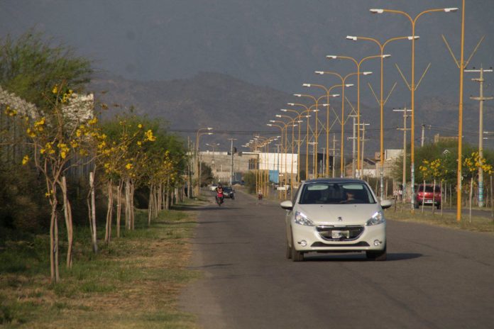 catamarca_arboles_46857