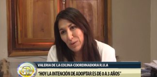 Buscan una familia para cuatro hermanitos