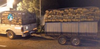 Secuestran gran cantidad de carbón en Capayán