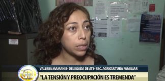 Confirman 300 despidos en Agroindustria