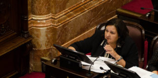 La senadora Blas apoyó el Proyecto de Emergencia Tarifaria