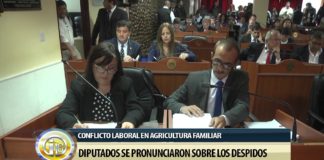 Diputados se pronunciaron sobre los despidos