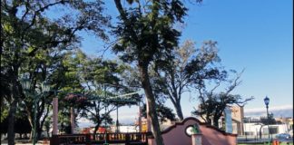 Arrestan a una mujer que intentó robar en locales céntricos