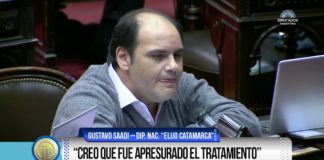 Saadi no acompañará el proyecto en el Congreso