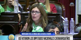 Así votaron los diputados nacionales catamarqueños