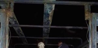 Secuestran tres caballos en Fray Mamerto Esquiú