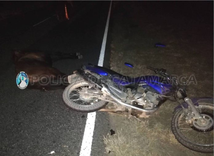 Siniestro Vial Cria. San Isidro