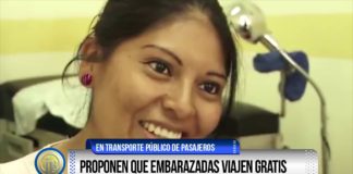 Proponen que embarazadas viajen gratis
