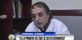 Denuncian irregularidades en castraciones masivas
