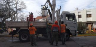 Retiran árboles y ramas caídas en el Hospital de Niños