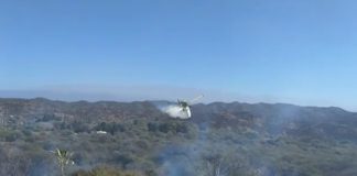 Incendio de pastizales en La Carrera