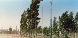 Siguen las buenas temperaturas, pero con bastante viento