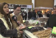 ALIMENTOS DE LA REGIÓN Y SUS COMPONENTES POR MARINA RUBI