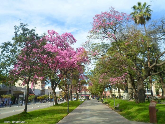 plaza-25-de-mayo-turismo-catamarca-3