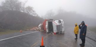 Camión volcó en El Totoral y todavía no es removido